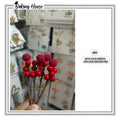4stick Red Cake Berry's For Cake Decorating