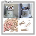 62pcs mini Clip Hanging For Cake Decorating