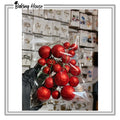 20pcs Gilter Shimmer Red Fox Balls For Cake Decorating
