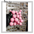20pcs Pink Round Fox Balls For Cake Decorating